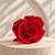 FOREVER FLOWERS
