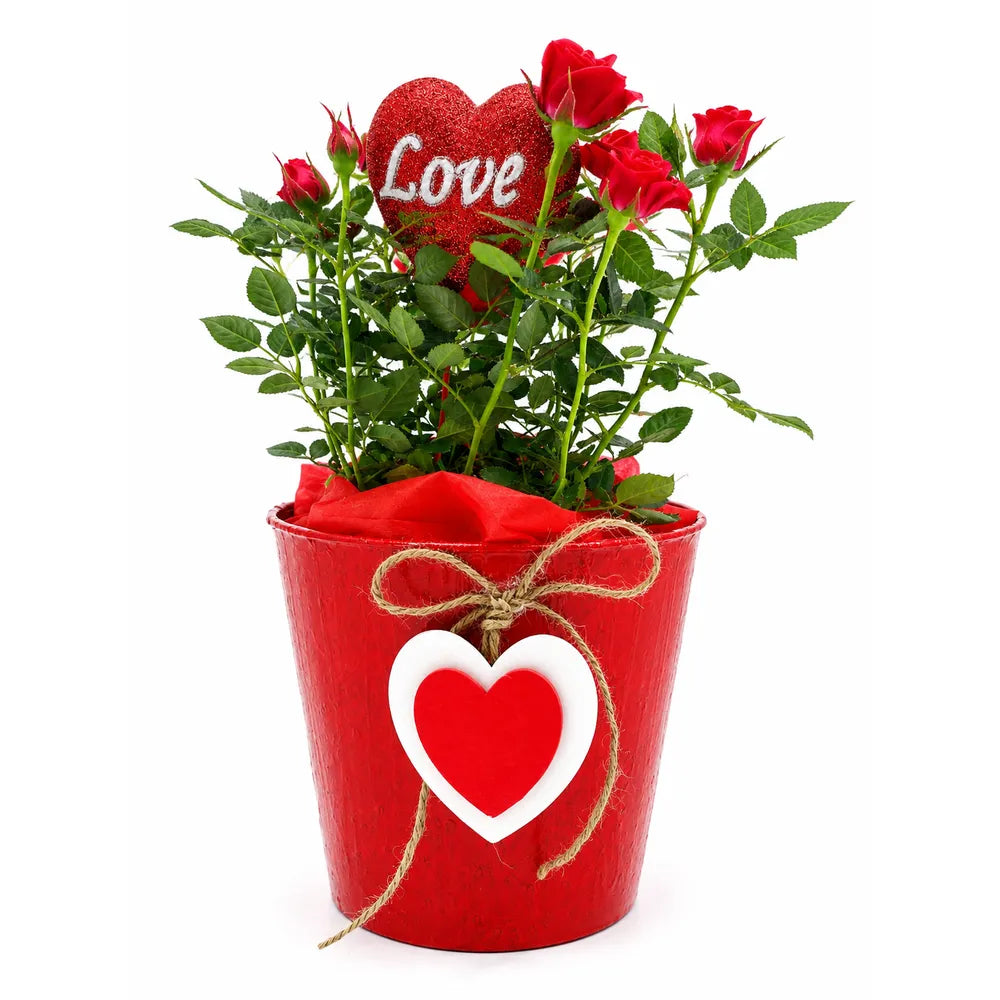 Κεραμικό Κασπώ Κόκκινο με Καρδιά Love – 22230-1