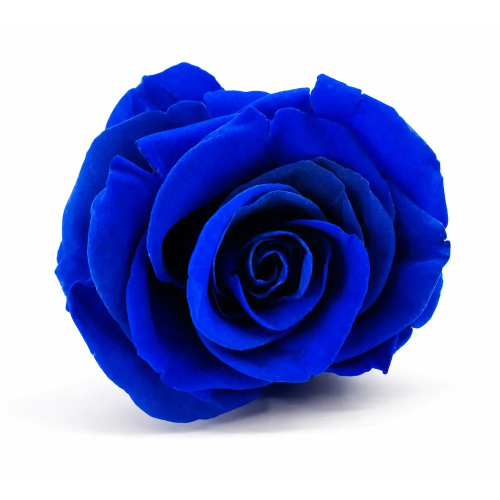 Forever Flowers Τριαντάφυλλα Μπλε σε Κουτί – 23005