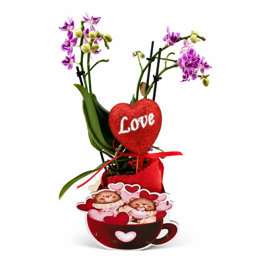Κεραμική Κούπα Κασπώ με Love – 23915