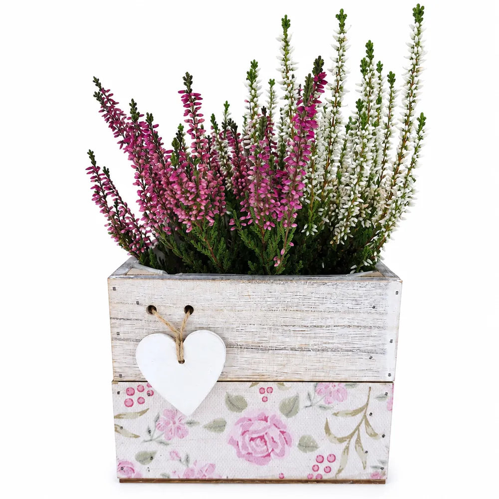 Ξύλινο Κασπώ Λευκό με Καρδιά και Floral Σχέδιο – 25086
