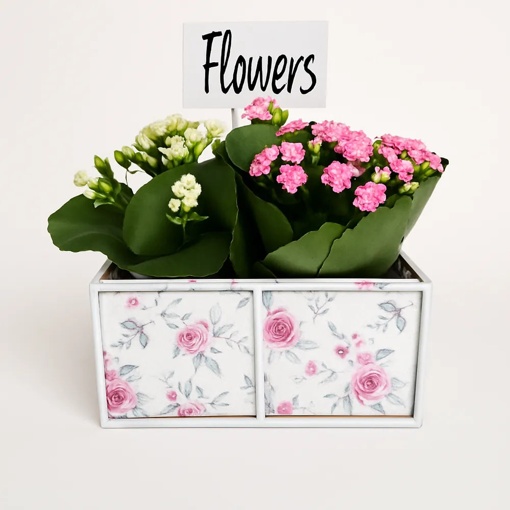 Ξύλινο Κασπώ Διπλό Floral Roses – 26096