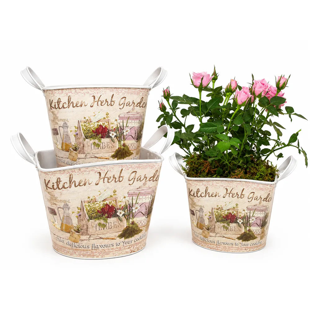Μεταλλικό Σετ Κασπώ "Kitchen Herb Garden" Μικρό 3 Τεμαχίων – 61029
